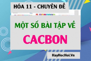 Bài tập Các-bon các Oxit của Các-bon và hợp chất của Các-bon - Hóa lớp 11